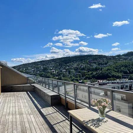 Apartament Penthouse -